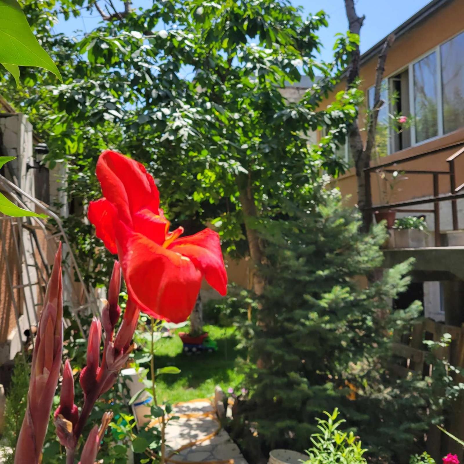 River House Boutique Hotel Jerevan Exteriör bild